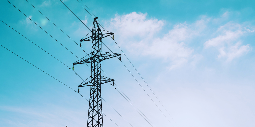 mercado eléctrico mayorista